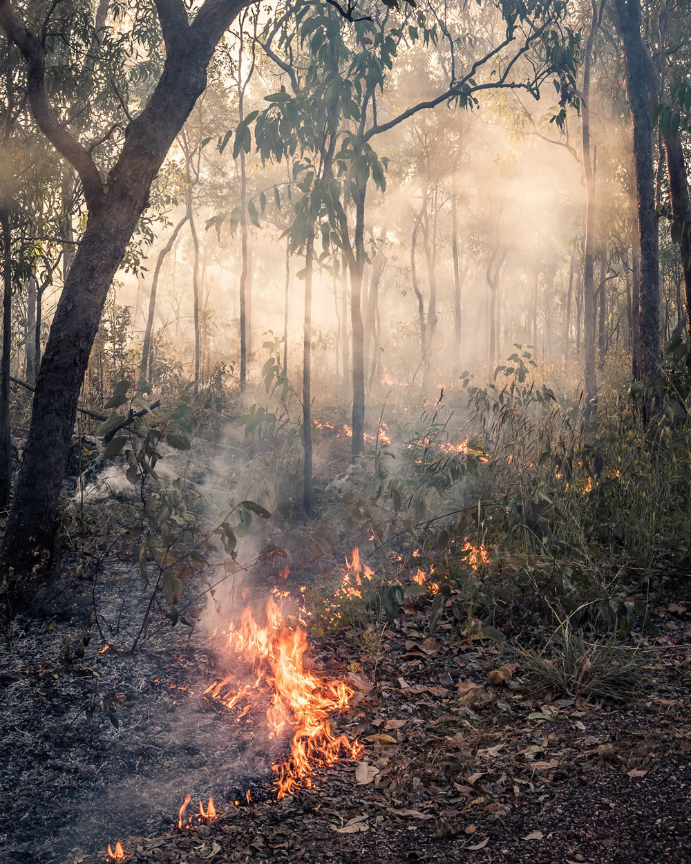 Natural Landscape Photography Awards 2023 Winners