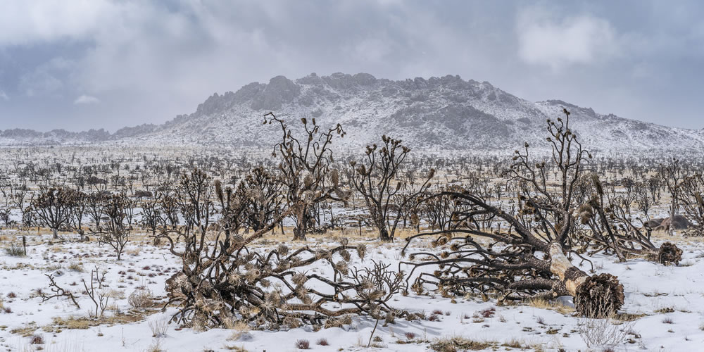 Natural Landscape Photography Awards 2023 Winners