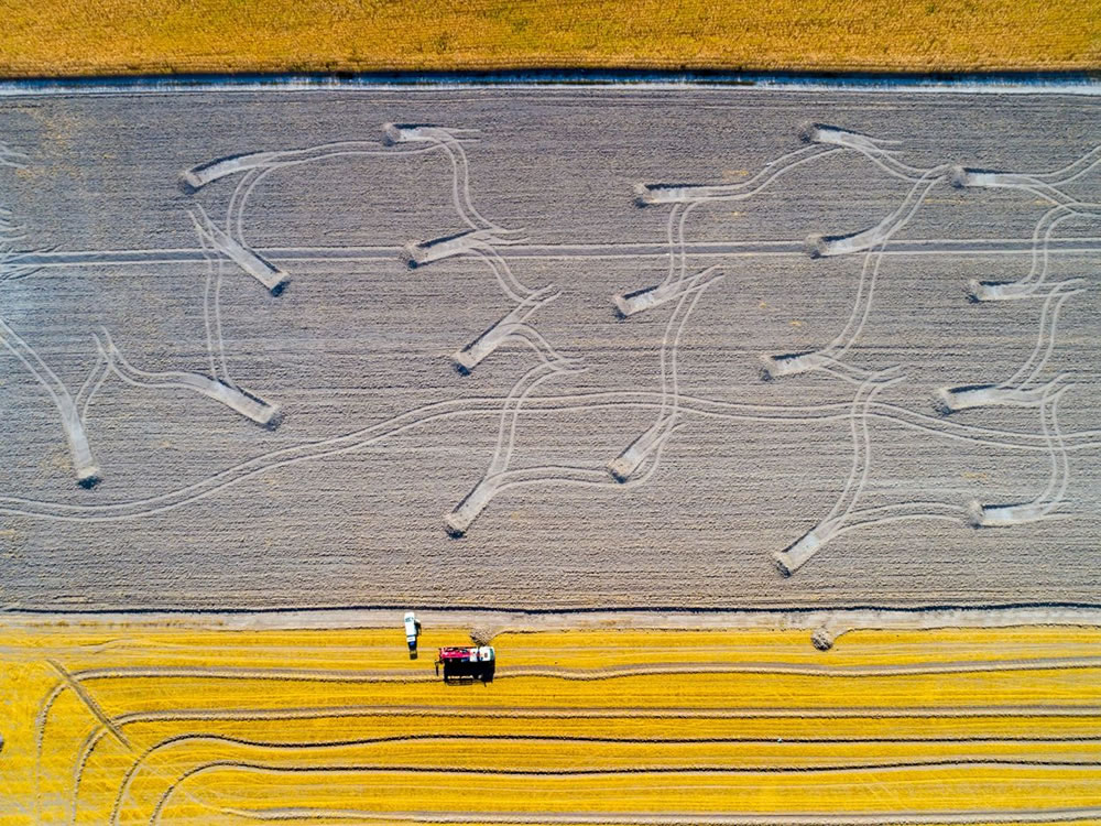 Nature Conservancy Awards 2023 Winners