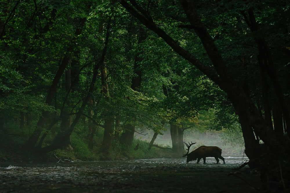 Nature Conservancy Awards 2023 Winners