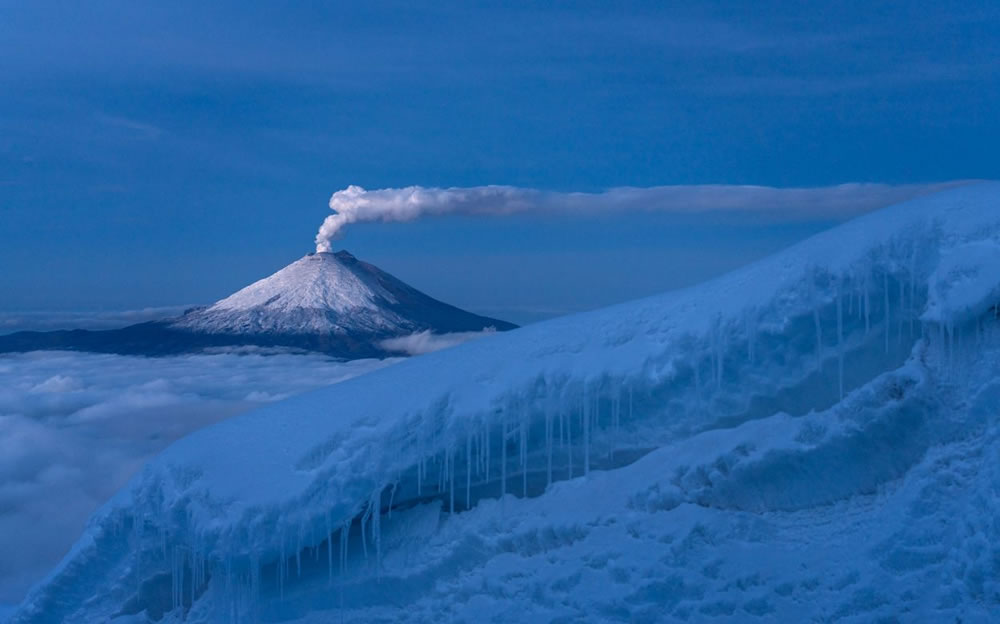 Nature Conservancy Awards 2023 Winners