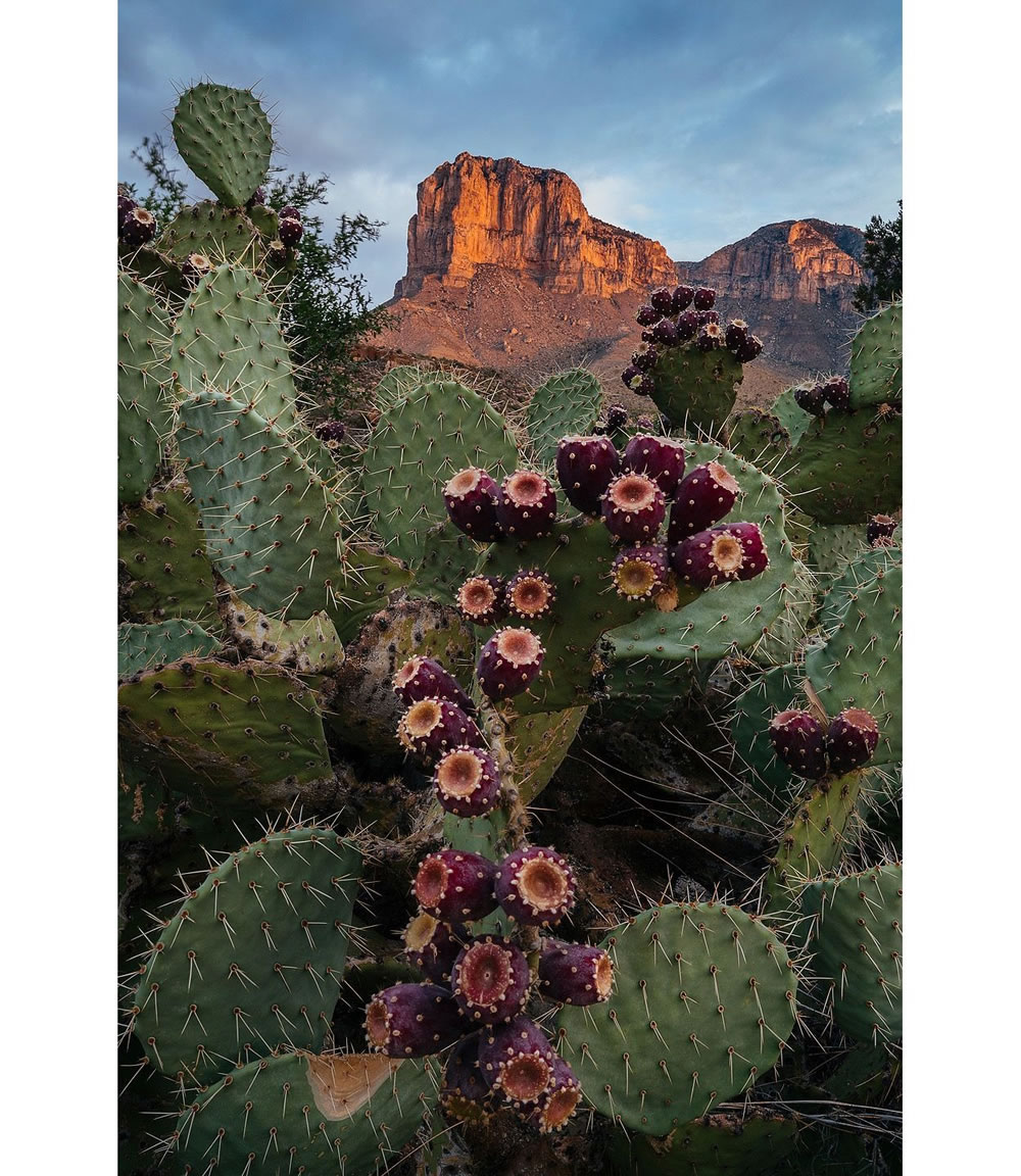 Nature Conservancy Awards 2023 Winners