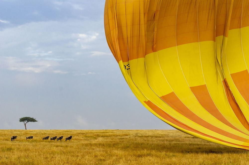 Nature Conservancy Awards 2023 Winners