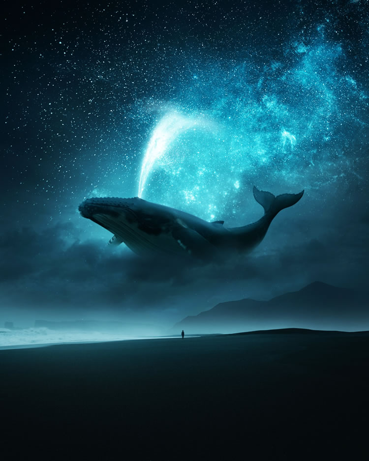 Surreal Composites by Ted Chin