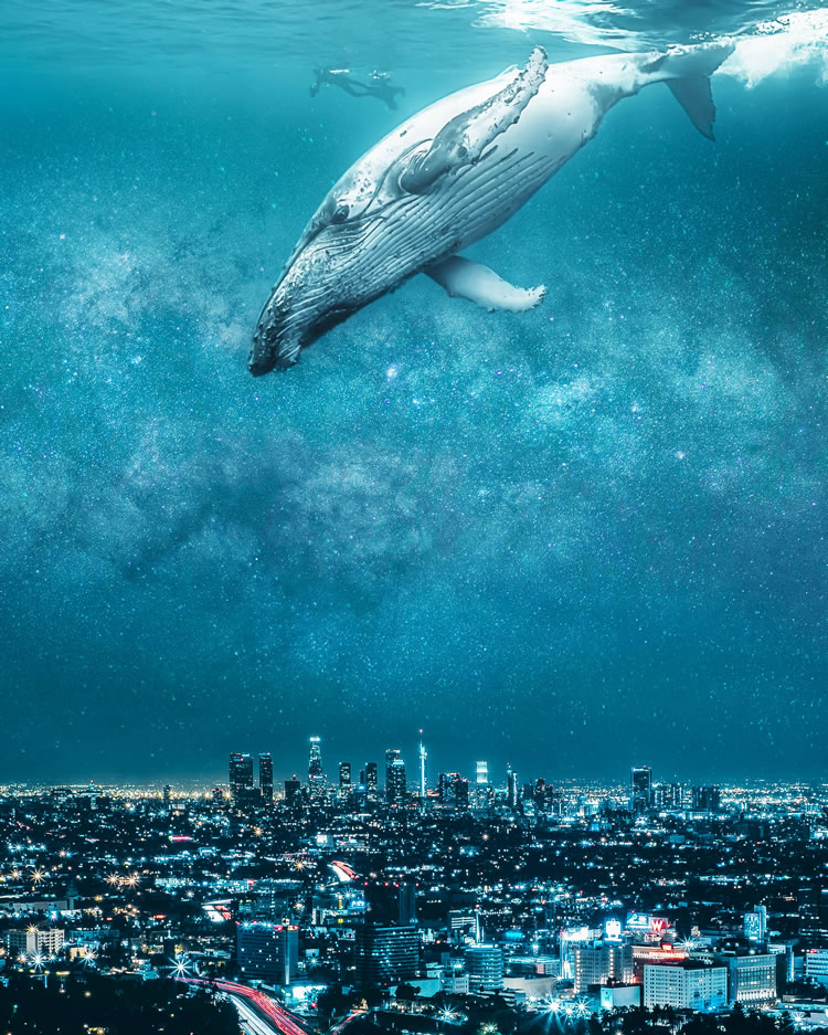 Surreal Composites by Ted Chin