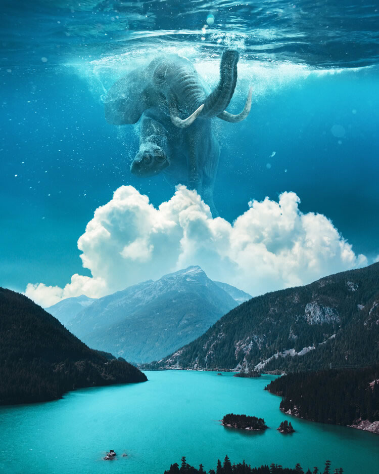 Surreal Composites by Ted Chin