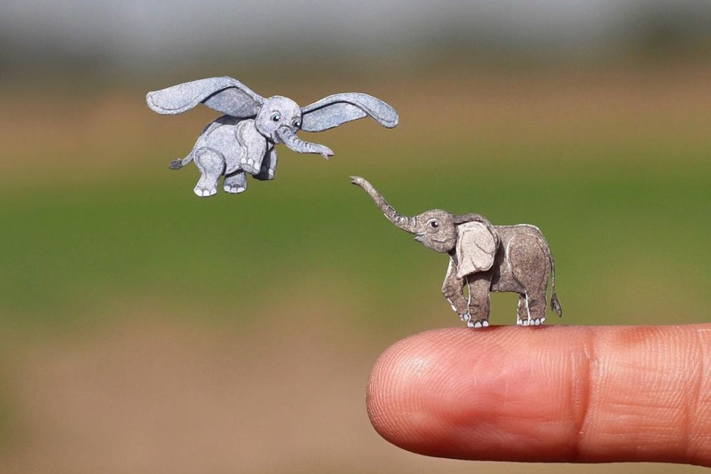 Beauty of Genetic Diversity by Nayan Shrimali
