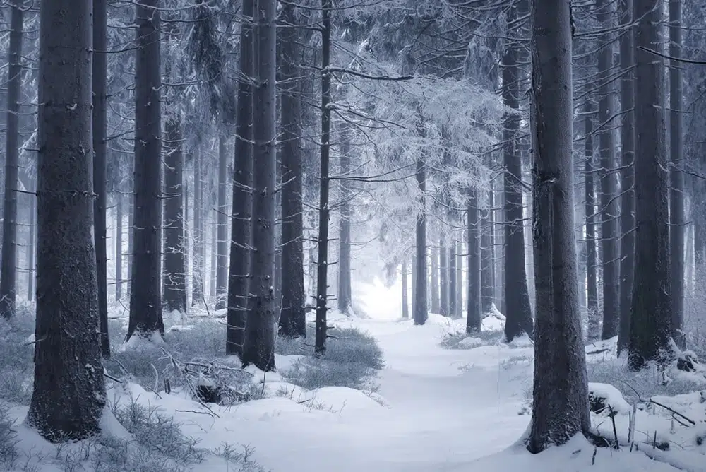 Landscape Photography