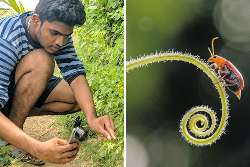 Wonderful Macro Photography By Sasi Kumar
