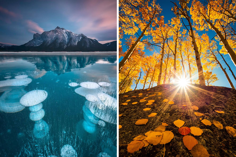 Beautiful Landscape Photography