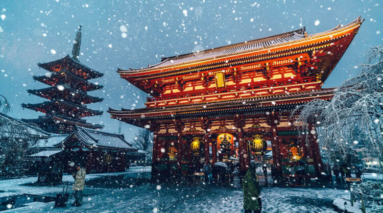 Tokyo Covered by Heavy Snow