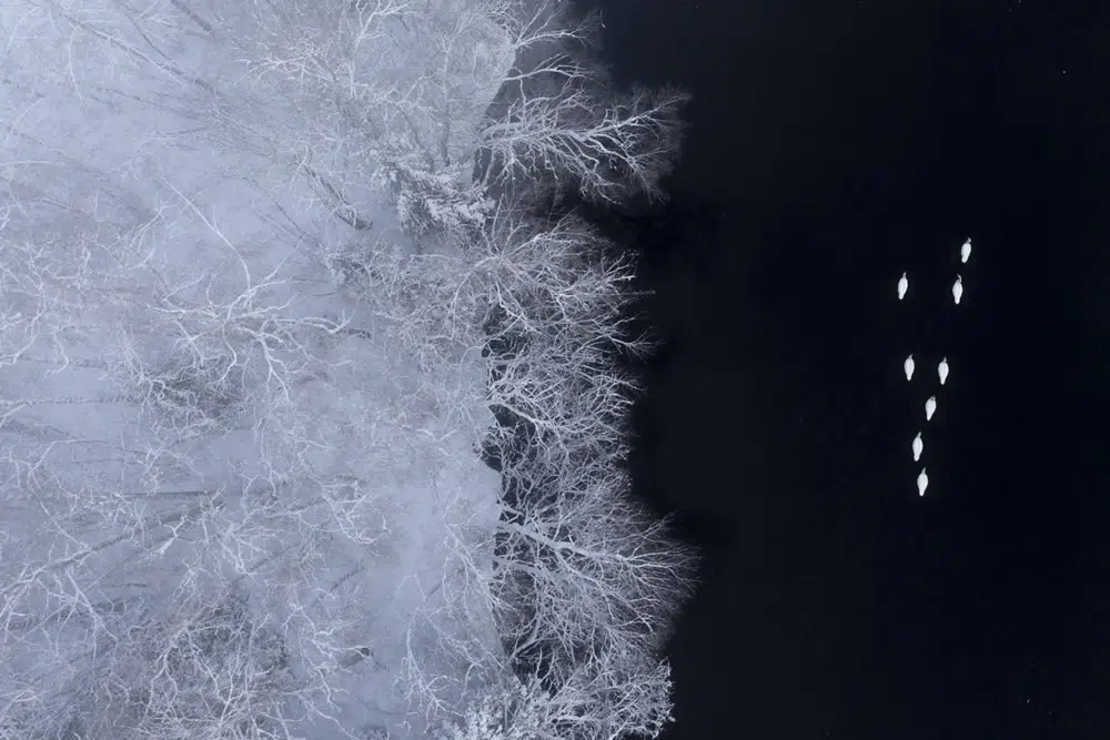 Nature Photography Drone Photo Awards