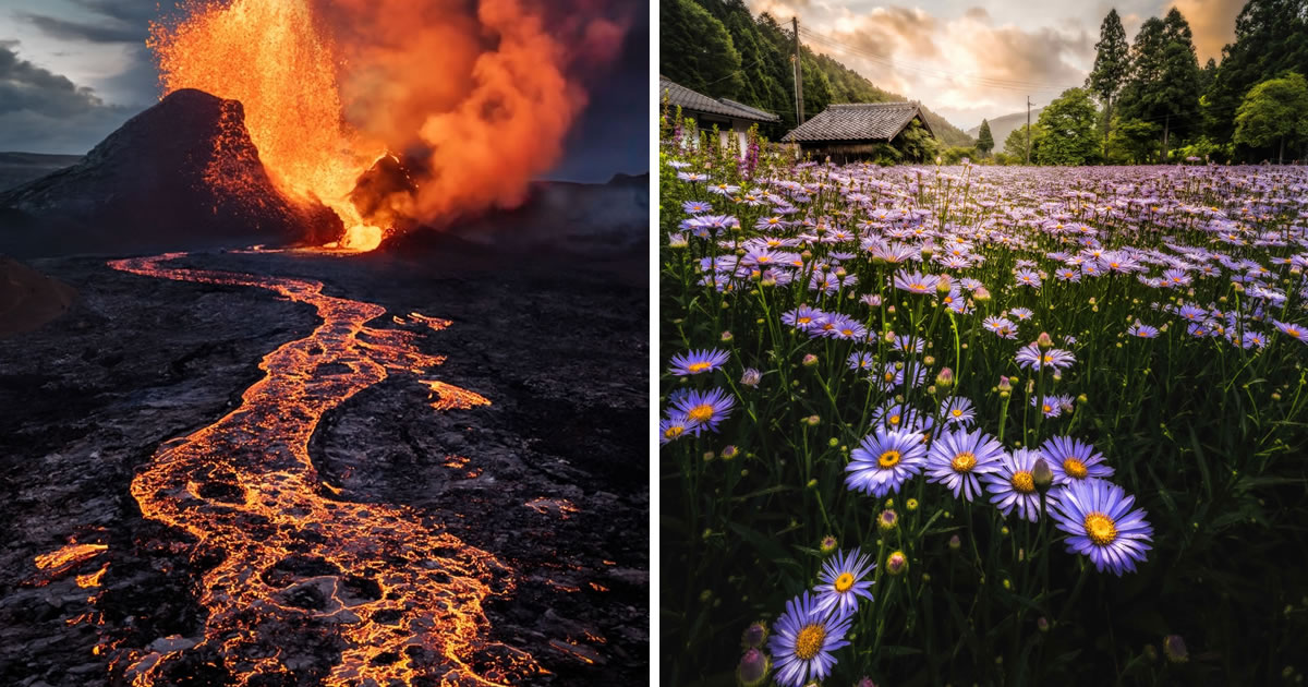 25 Fantastic Nature & Landscape Winning Photos From International Photography Awards