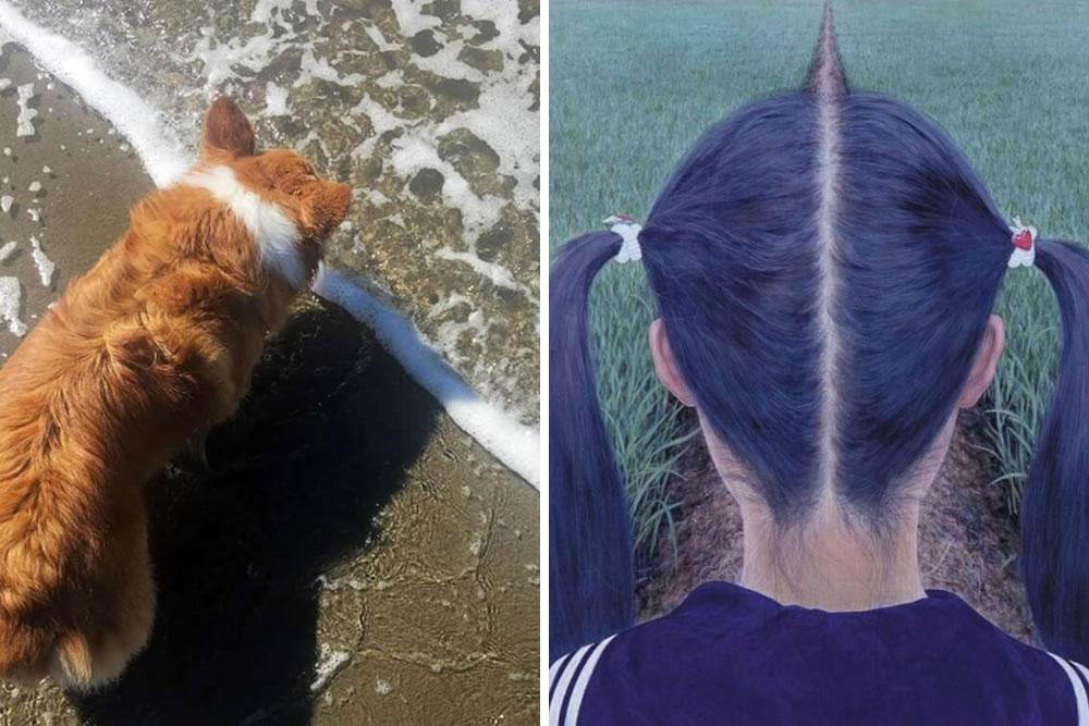 Photos Caught On Camera At Perfect Time