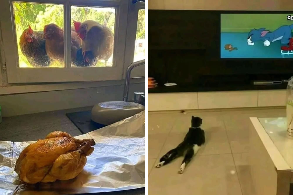 Pictures To Challenge Your Perception