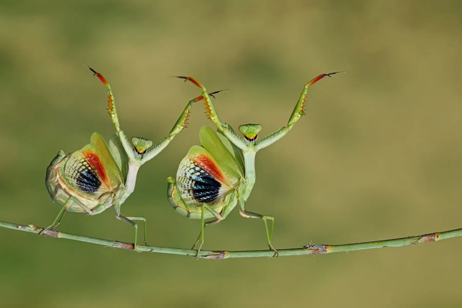 The Nature Photography Contest Winners