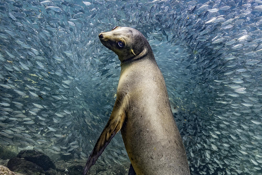 The Nature Photography Contest Winners
