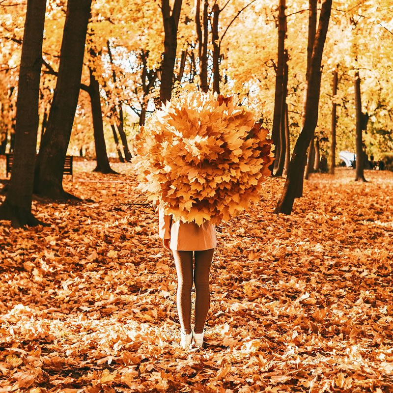 Autumn Around The World By Kristina Makeeva