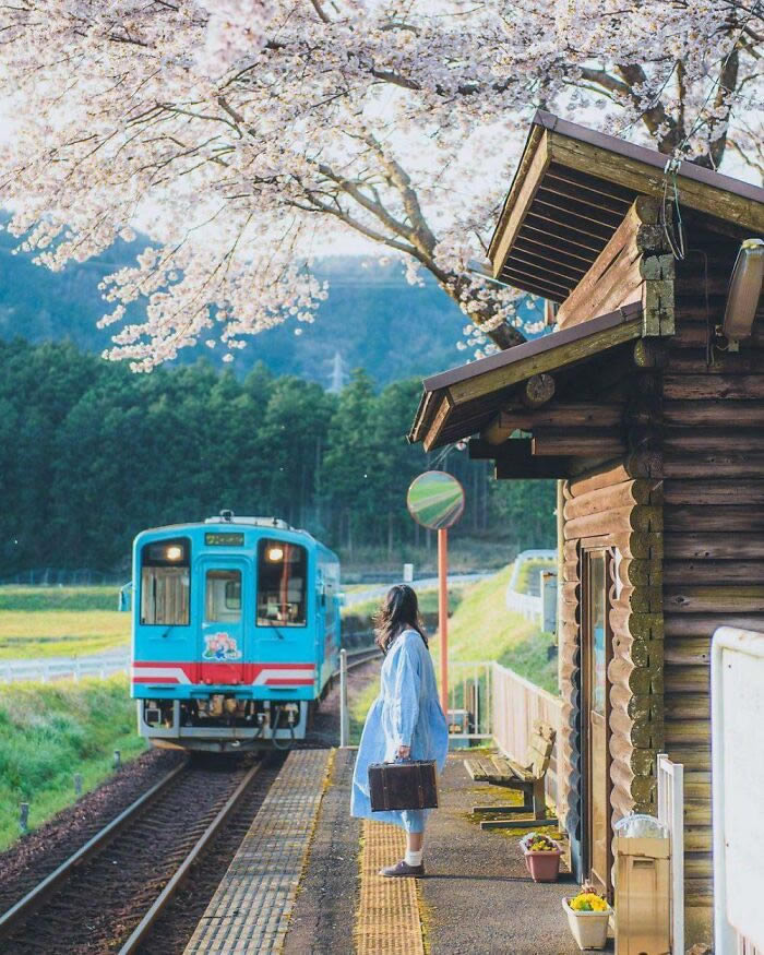 Interesting Photos Of Japan