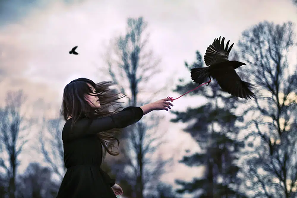 Fine Art Photography by Xin Li