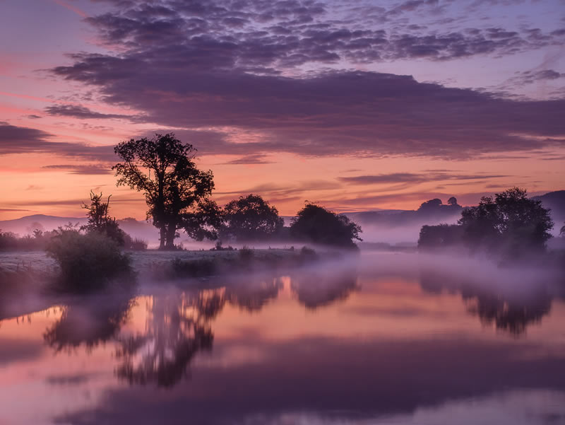 Landscape Winning Photos From Garden Photographer Of The Year 