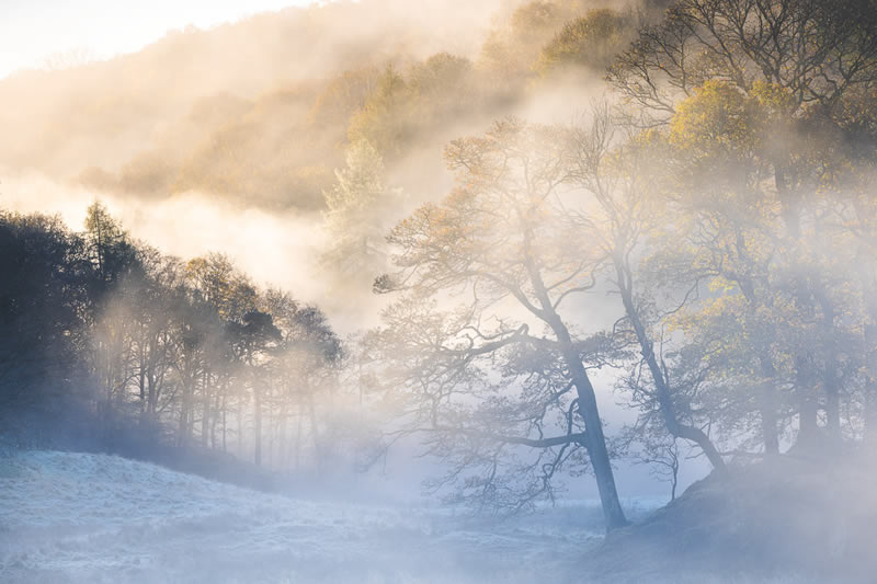 Landscape Winning Photos From Garden Photographer Of The Year 