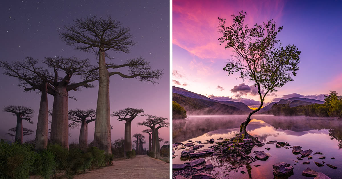 20 Stunning Landscape-Winning Photos From The Garden Photographer Of The Year