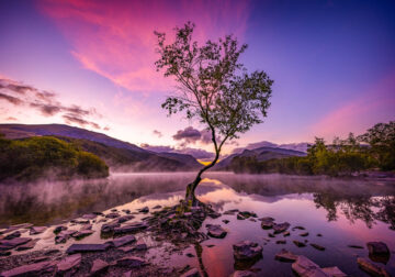 Landscape Winning Photos From Garden Photographer Of The Year