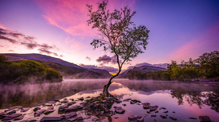 Landscape Winning Photos From Garden Photographer Of The Year
