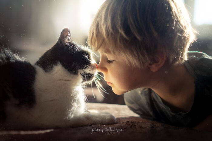 Beautiful Bond Between Kids and Animals