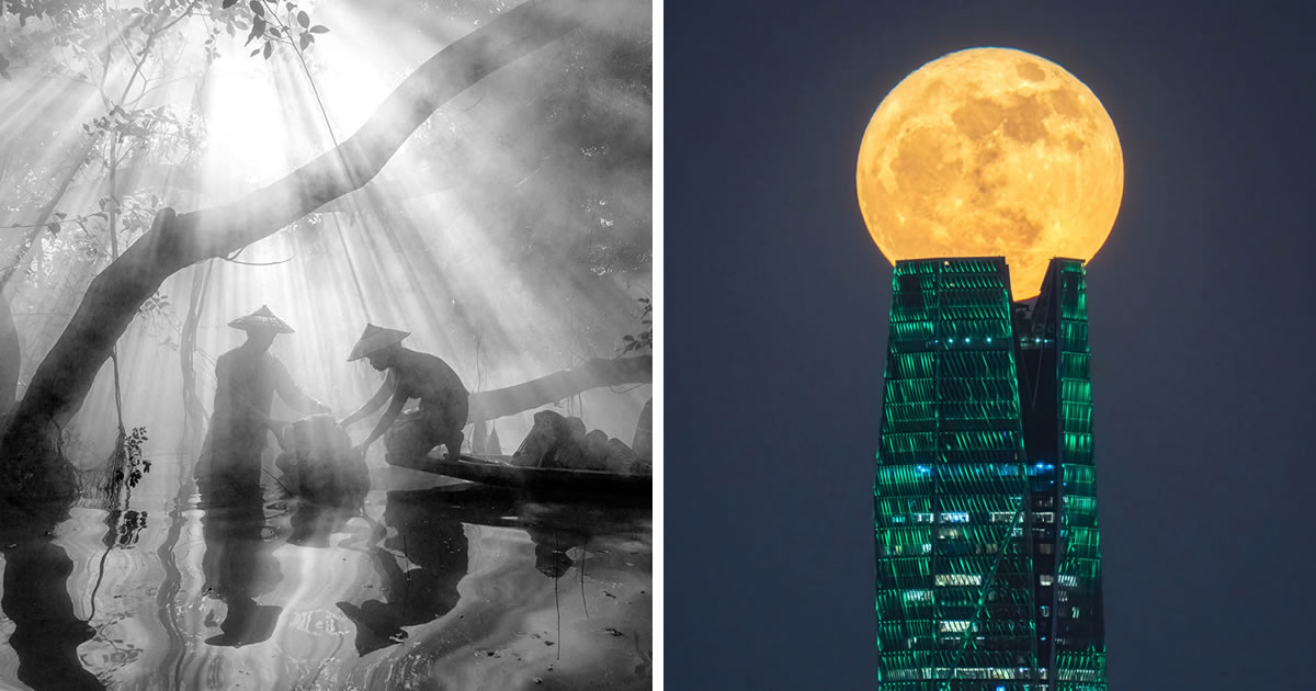 25 Incredible Winning Photos From The National & Regional Sony World Photography Awards 2024