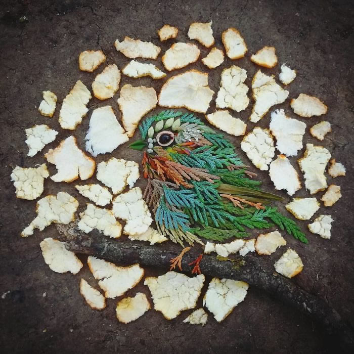 Bird Portraits Using Leaves And Flowers By Hannah Bullen-Ryner 