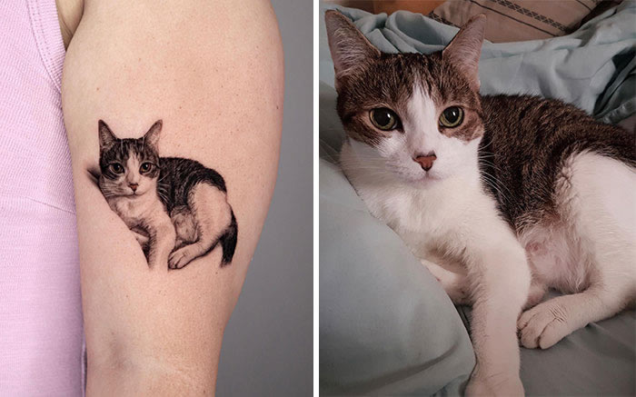 26 Dog Tattoo Ideas to Commemorate Your Pet - Great Pet Living