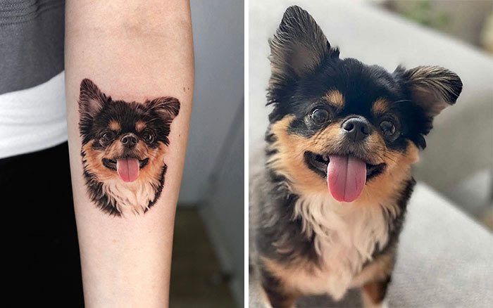 Incredible Realistic Pet Tattoos By Yeono