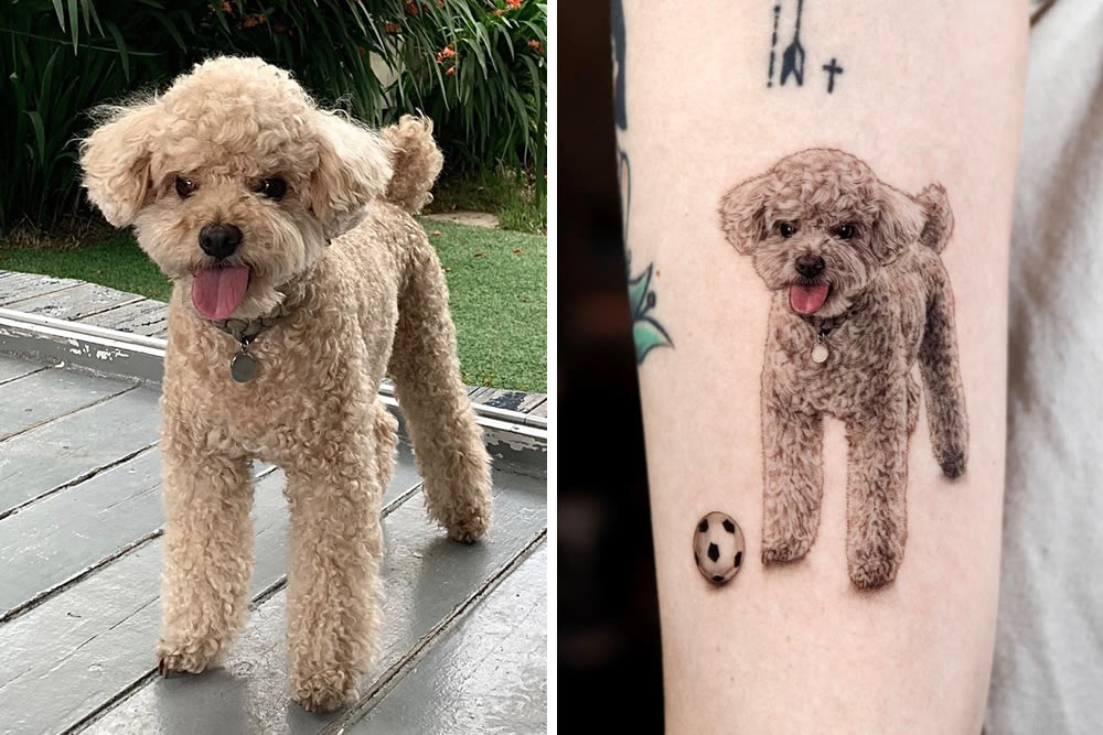 Incredible Realistic Pet Tattoos By Yeono