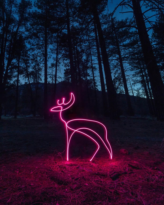 Light Paintings Photography By Dariustwin
