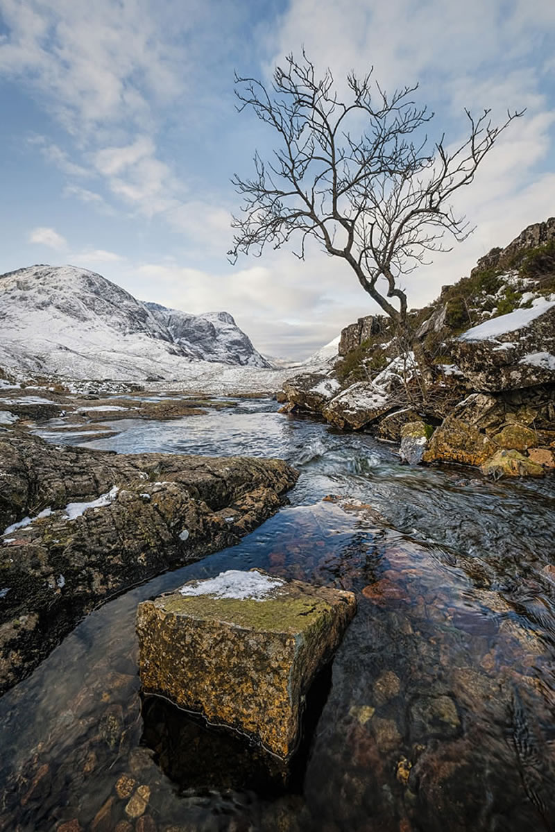 Scottish Nature Photographer Of The Year Winners