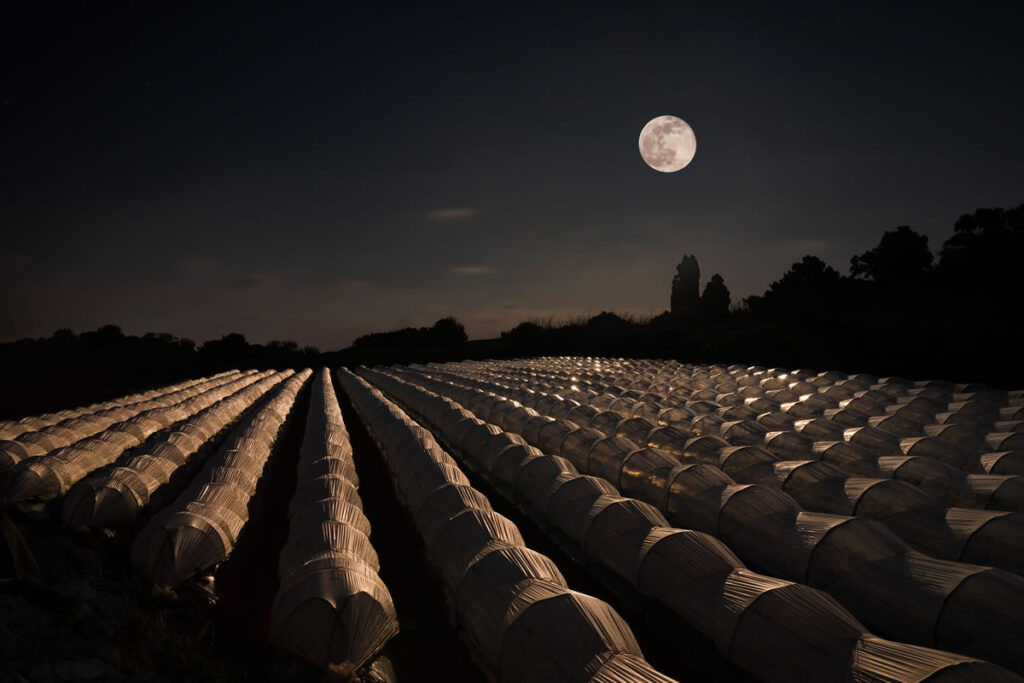 Landscape Sony World Photography Awards 2024