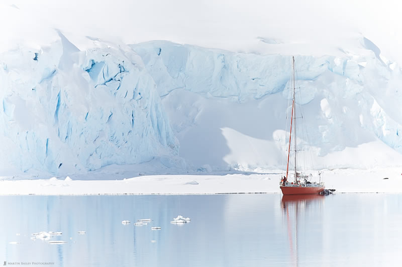 Antarctica Icebergs Photography By Martin Bailey