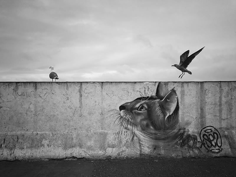Black and White Mobile Photography Awards Winners
