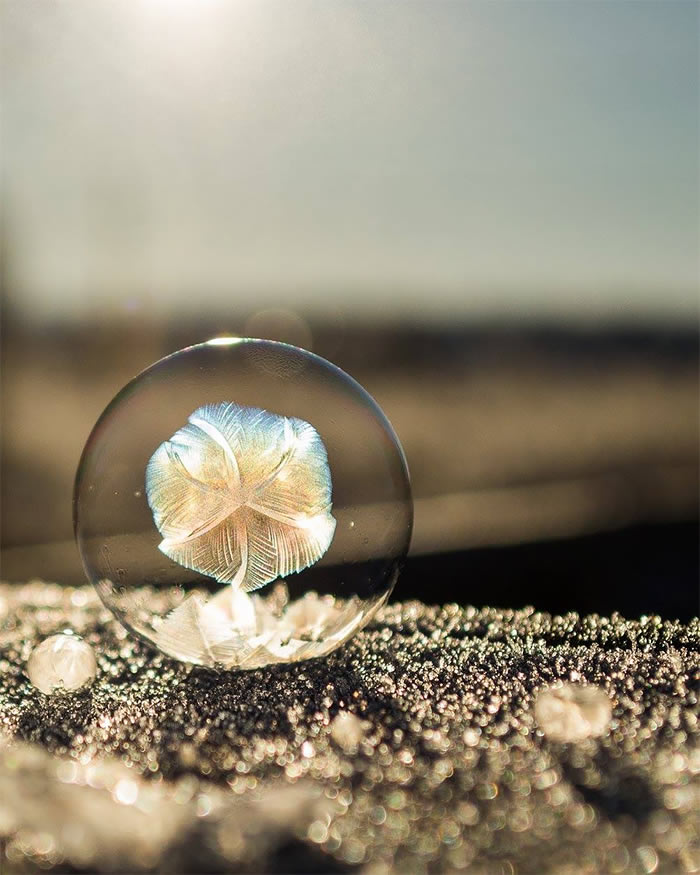 Beautiful Macro Photos Of Frozen Soap Bubbles By Angela Kelly