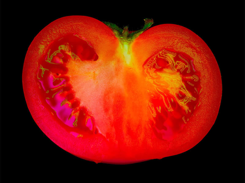 Macro Photos Of Fruits And Vegetables By Mathew Guido