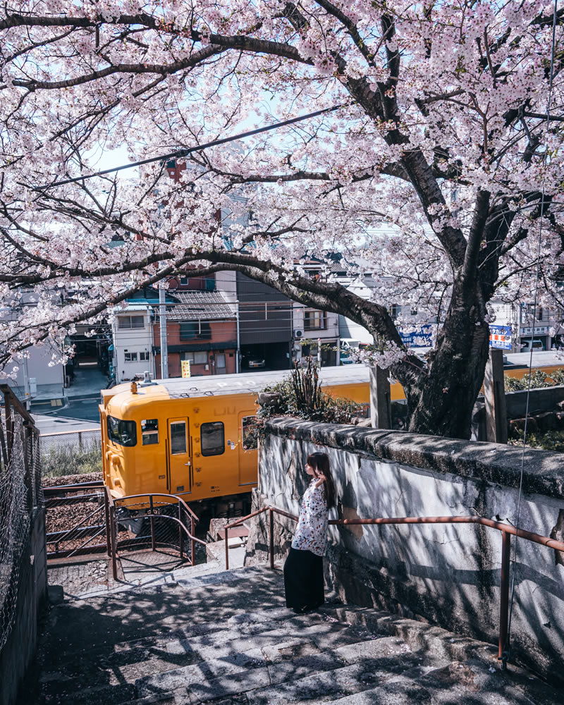 Japan Photography By Tatsuto Shibata