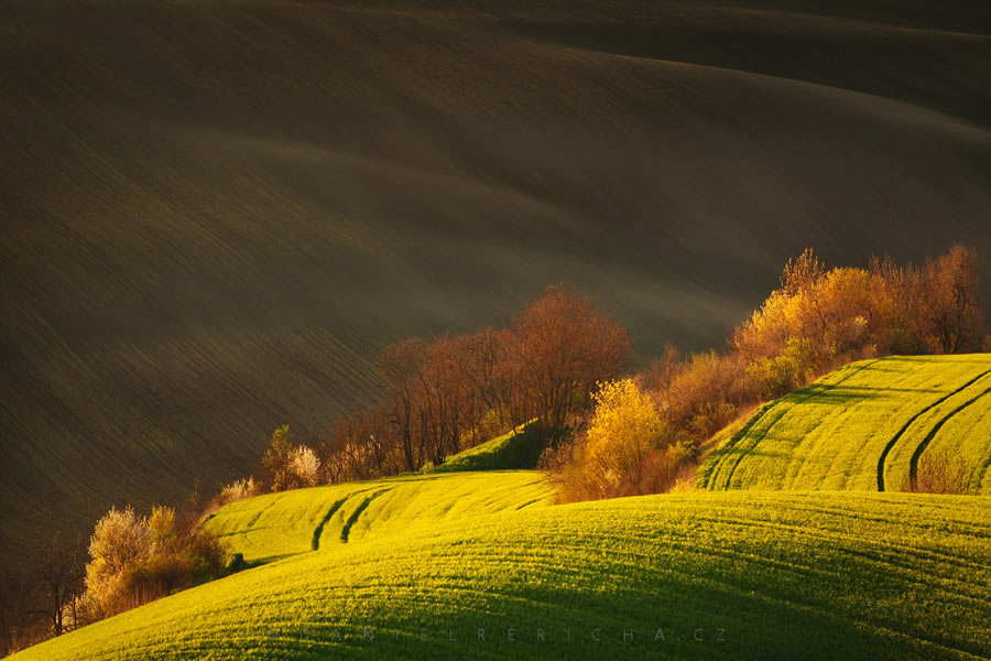 Landscape Photography by Daniel Rericha
