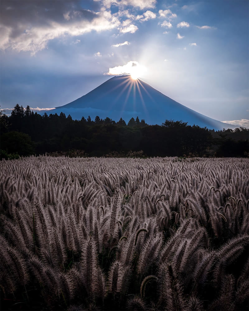 Mount Fuji Four Seasons By Hisa Matsumura