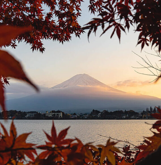 This Japanese Photographer Captures Stunning Photos Of Mount Fuji In Four Seasons
