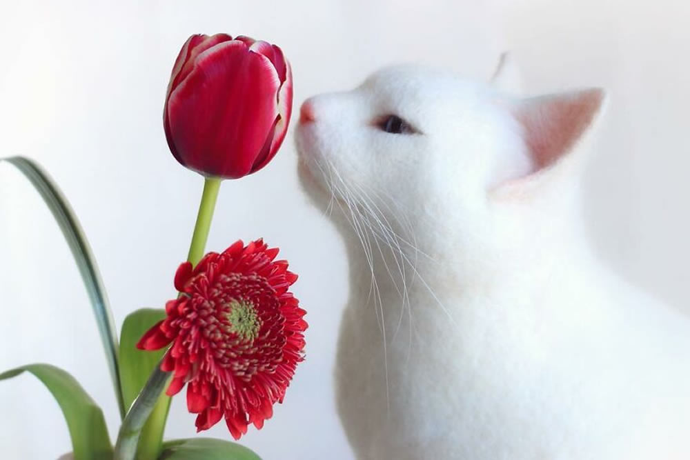 Realistic Cats With Felt Wool By Mayumi Yamamoto