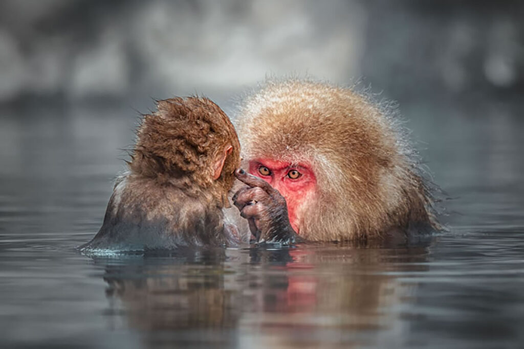 Best Photos From Sony World Photography Awards