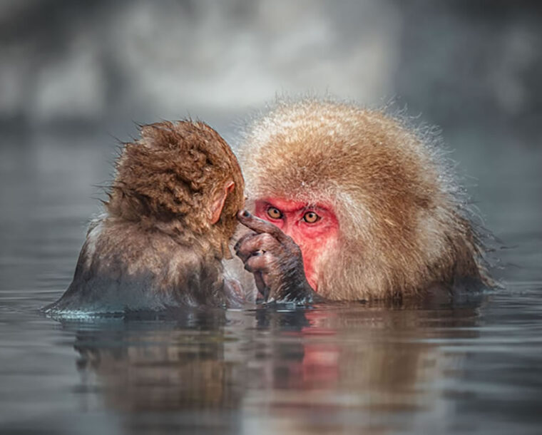Best Photos From Sony World Photography Awards