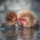 Best Photos From Sony World Photography Awards